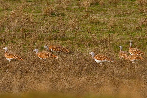extremadura-november-4