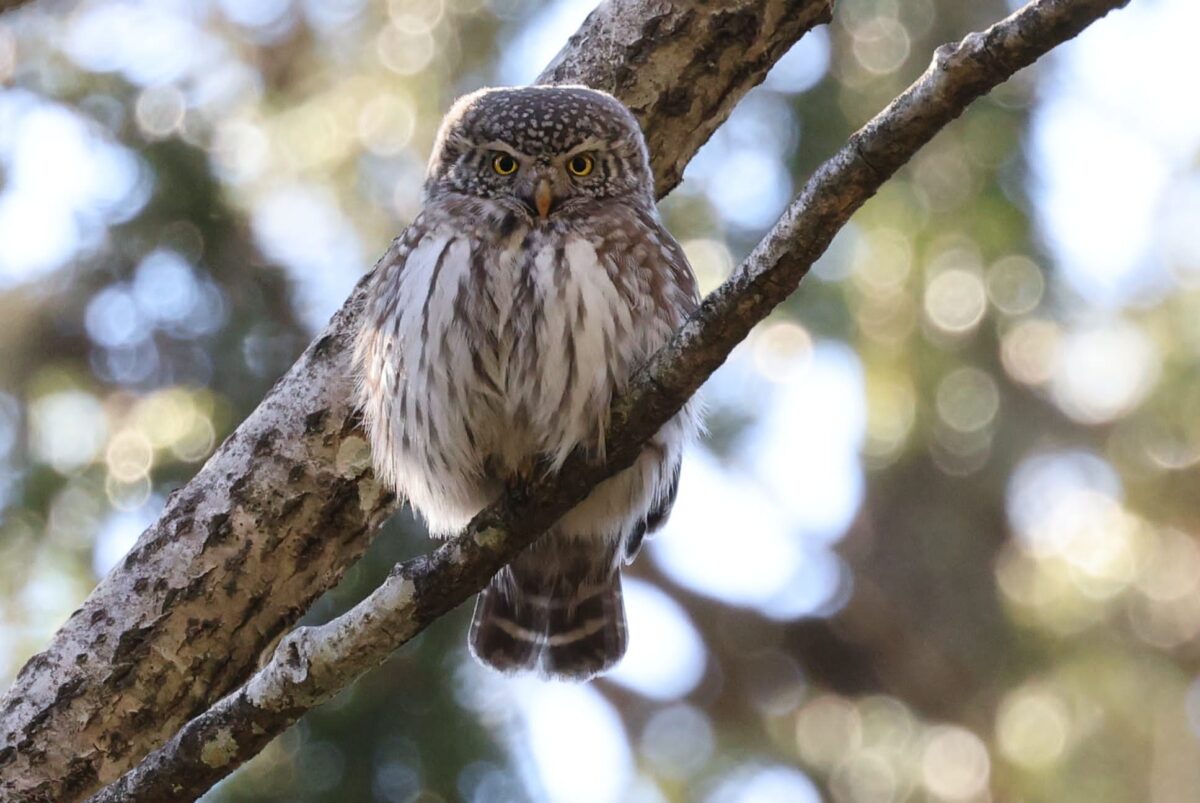 bb709131-5674-4650-9647-e640acad5729